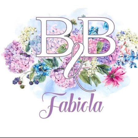 Fabiola B & B Marino Exterior foto